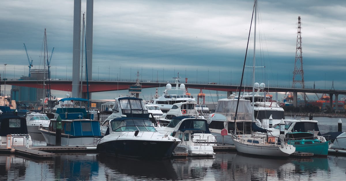 Guidelines for Safe Swimming Near BBQ Pontoon Boats