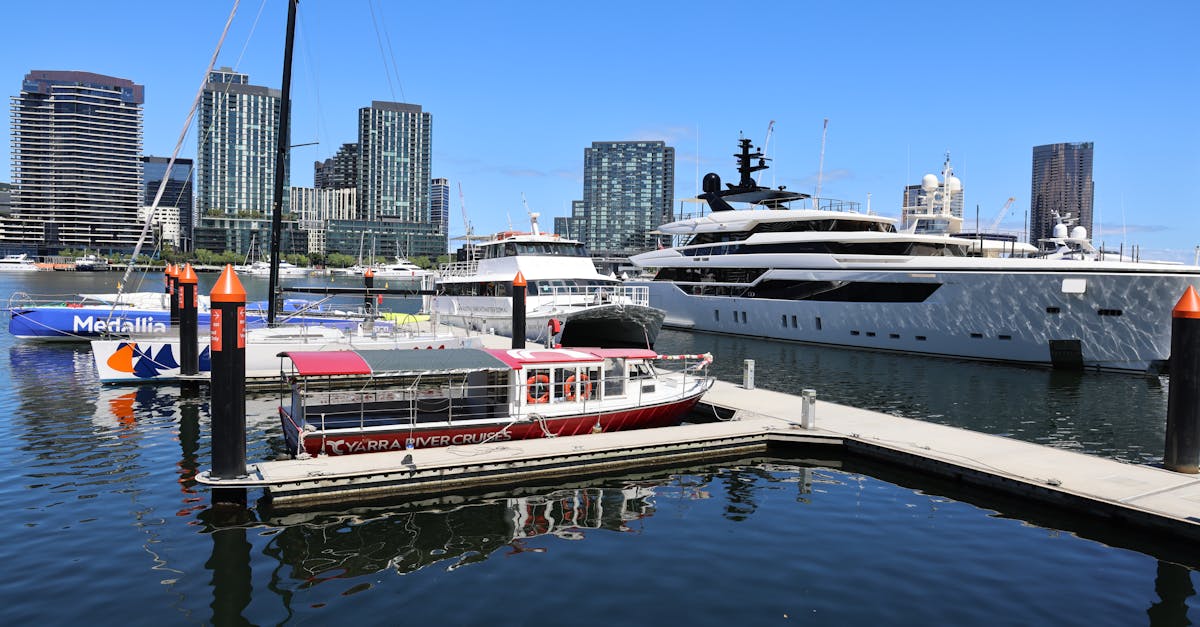 Ideal Times to Rent a BBQ Pontoon Boat on the Maribyrnong River