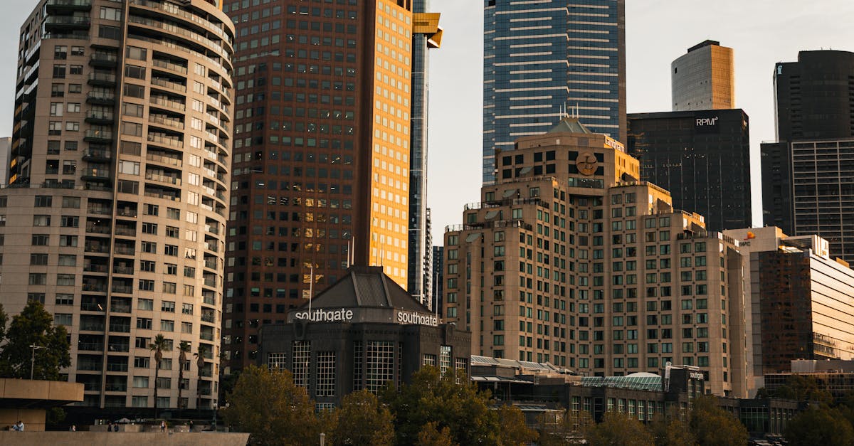 Insights from Frequent Renters: BBQ Pontoon Boats in Melbourne