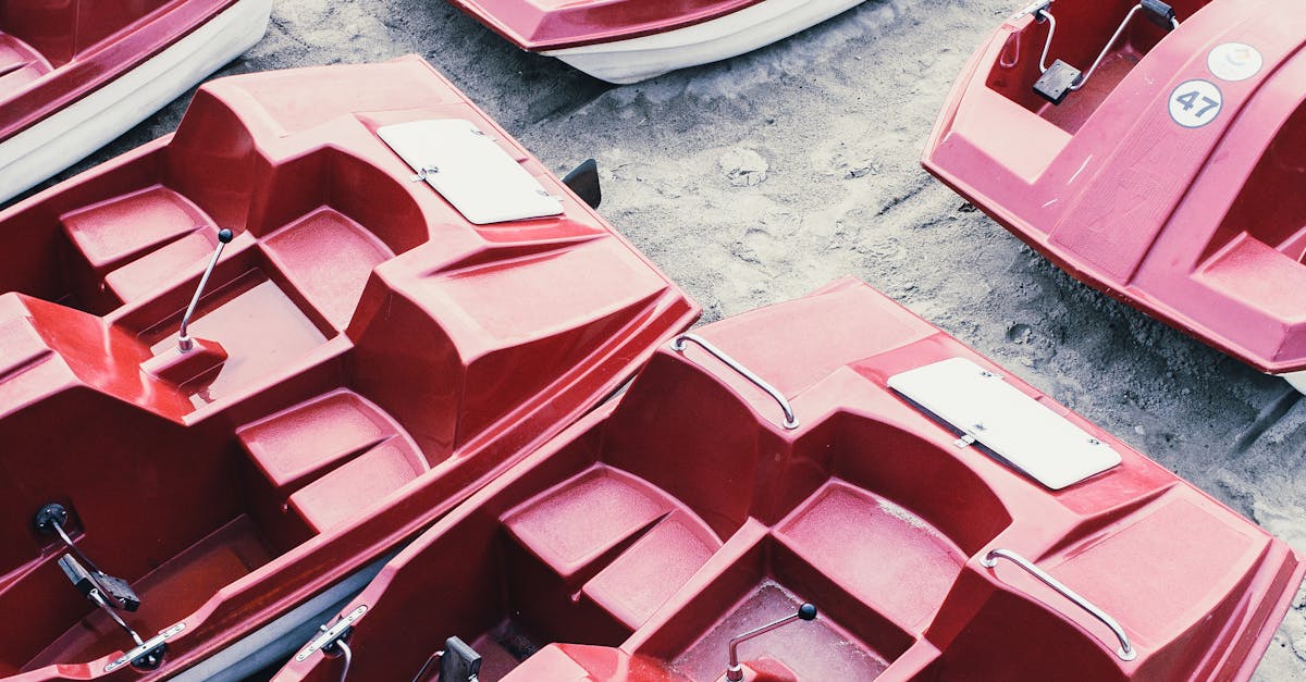 Unique Attractions to Visit While on a BBQ Pontoon in Port Phillip Bay